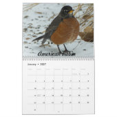 Vogelarten im Hinterhof von Missouri Kalender (Jan 2027)