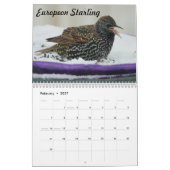 Vogelarten im Hinterhof von Missouri Kalender (Feb 2027)