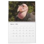 Vogelarten im Nordamerika-Kalender Kalender (Feb 2026)