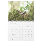 Vogelarten im Nordamerika-Kalender Kalender (Jan 2027)