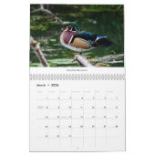 Vogelarten im Nordwesten des Pazifiks 2021 - Kalen Kalender (Mär 2026)