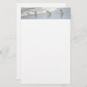 Vogelarten im Surf Foto Stationery Paper Briefpapier (Vorne/Hinten)