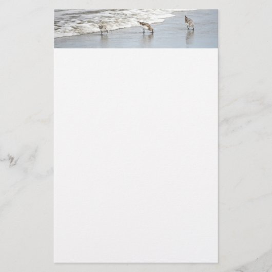 Vogelarten im Surf Foto Stationery Paper Briefpapier (Vorderseite)