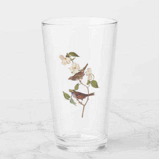 Vogelarten mit Weißwurmblättern, Audubon mit Blume Glas (Vorderseite)