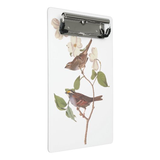 Vogelarten mit Weißwurmblättern, Audubon mit Blume Mini Klemmbrett (Schrägansicht)