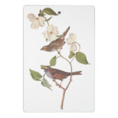 Vogelarten mit Weißwurmblättern, Audubon mit Blume Mini Klemmbrett (Rückseite)