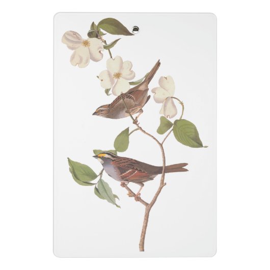 Vogelarten mit Weißwurmblättern, Audubon mit Blume Mini Klemmbrett (Rückseite)