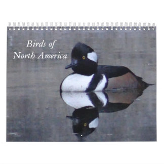 Vogelarten Nordamerikas-Kalandar Kalender