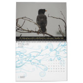 Vogelarten von Indien Naturfotografie 2025-26 Kalender (Feb 2026)