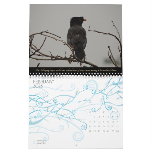 Vogelarten von Indien Naturfotografie 2025-26 Kalender (Feb 2026)