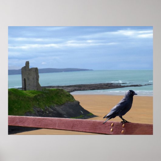 Vogelaugen-Poster Poster (Vorne)
