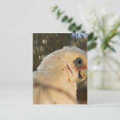 Vogelaugen Postkarte (Stehend Vorderseite)