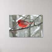 Vogelaugen (Roter Kardinal) - Leinwand (Vorderseite)