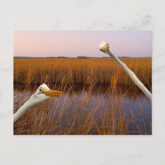 "Vogelaugenansicht" - Postkarte (Vorderseite)