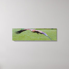 Vogelaugenblick über Panoramafenstreifen Print Leinwanddruck