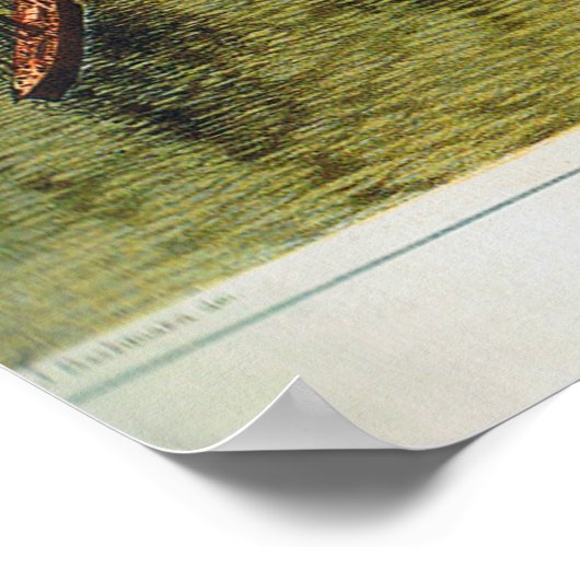 Vogelaugenblick von Manhattan, Bachmann 1865 Print Poster (Ecke)