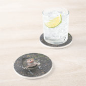 Vogelaugensicht auf den Nordflackerspecht Getränkeuntersetzer (Seite)