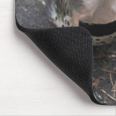 Vogelaugensicht auf den Nordflackerspecht Mousepad (Ecke)