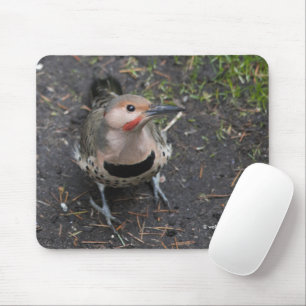Vogelaugensicht auf den Nordflackerspecht Mousepad