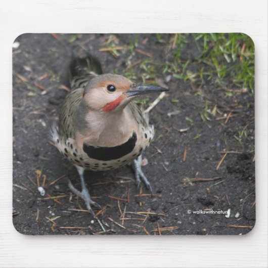 Vogelaugensicht auf den Nordflackerspecht Mousepad (Vorne)
