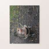 Vogelaugensicht auf den Nordflackerspecht Puzzle (Vertikal)