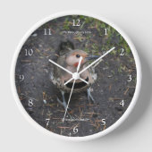 Vogelaugensicht auf den Nordflackerspecht Uhr (Vorderseite)