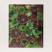Vogelaugensicht von Sempervivum-Pflanze Puzzle (Vertikal)