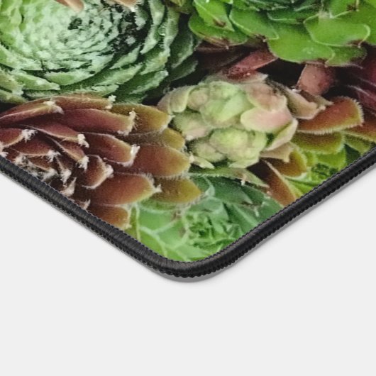 Vogelaugensicht von Sempervivum-Pflanze Schreibtischunterlage (Ecke)