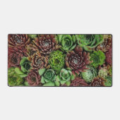 Vogelaugensicht von Sempervivum-Pflanze Schreibtischunterlage (Vorderseite)