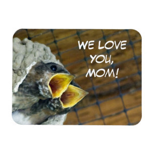 Vogelbaby-Prämien-Magnet Magnet