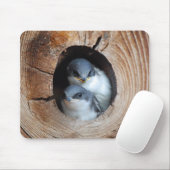 Vogelbabys Mousepad (Mit Mouse)