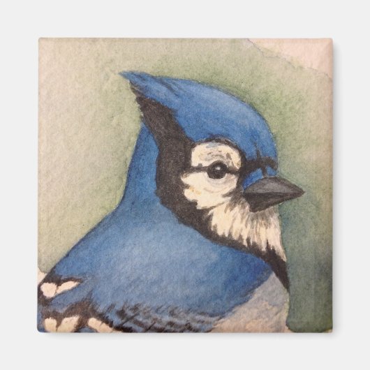 Vogelbeobachter auf Bluejay Kühlschrankmagnet Magn (Vorne)