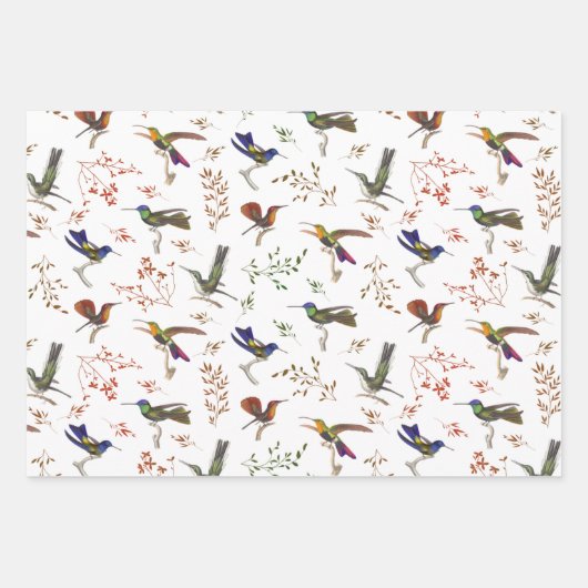 Vogelbeobachter Geschenkpapier Set (Vorderseite 2)