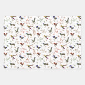 Vogelbeobachter Geschenkpapier Set (Vorderseite)
