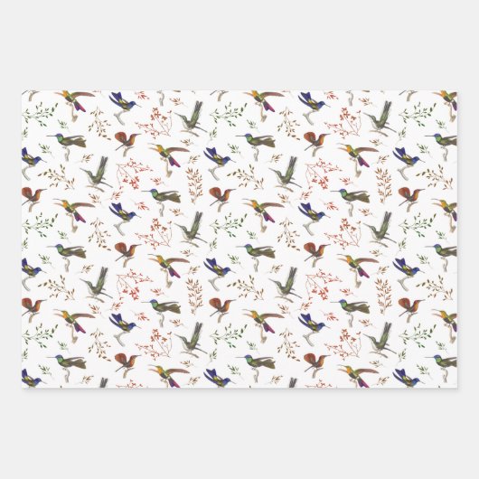 Vogelbeobachter Geschenkpapier Set (Vorderseite)