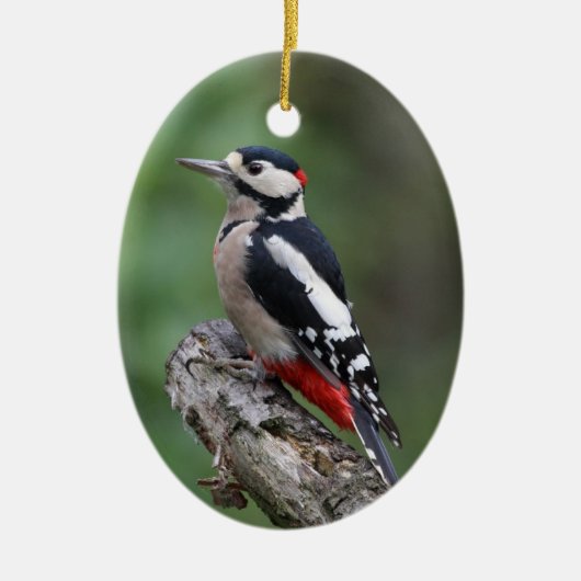 Vogelbeobachter Keramik Ornament (Vorne)