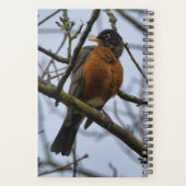 Vogelbeobachter Planer (Rückseite)
