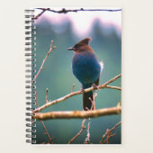 Vogelbeobachter Planer (Vorderseite)