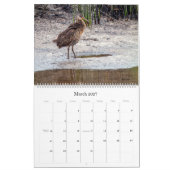 Vogelbeobachtung 2022 in Florida Calendar Kalender (Mär 2027)