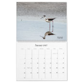 Vogelbeobachtung 2022 in Florida Calendar Kalender (Jan 2027)