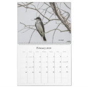 Vogelbeobachtung 2022 in Florida Calendar Kalender (Feb 2026)