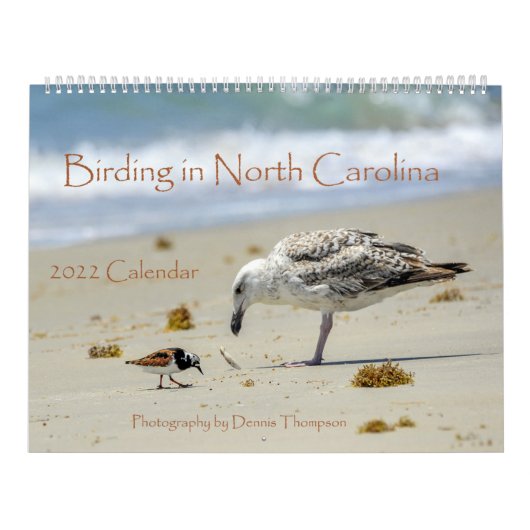 Vogelbeobachtung 2022 in North Carolina Calendar Kalender (Titelbild)