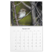Vogelbeobachtung 2022 in North Carolina Calendar Kalender (Jan 2027)