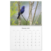 Vogelbeobachtung 2022 in South Carolina Calendar Kalender (Jan 2026)