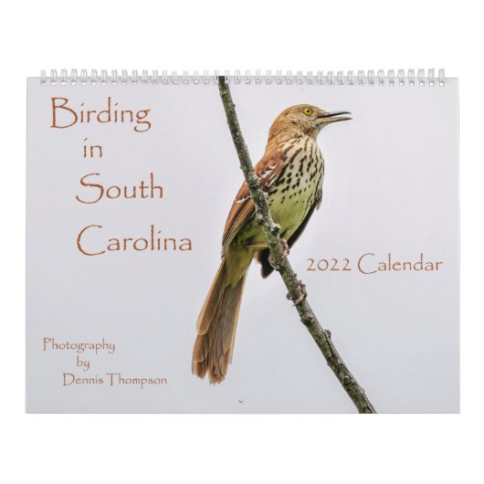 Vogelbeobachtung 2022 in South Carolina Calendar Kalender (Titelbild)