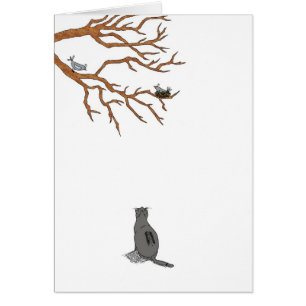 Vogelbeobachtung, Blank