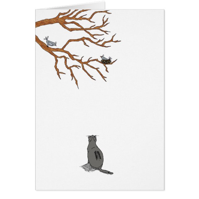 Vogelbeobachtung, Blank (Vorne)