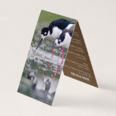 Vogelbeobachtung-Führer-Falke-Geschäfts-Karte Visitenkarten (Rückseite)