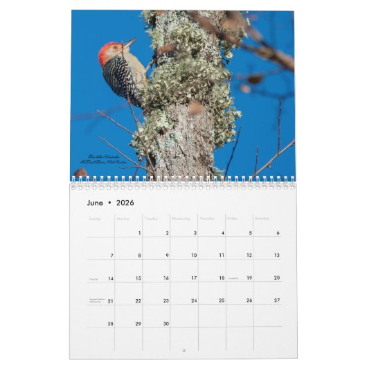 Vogelbeobachtung für den Speckkalender 2025 Kalender (Jun 2026)