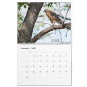 Vogelbeobachtung für Raptoren - Kalender 2025 (Feb 2027)